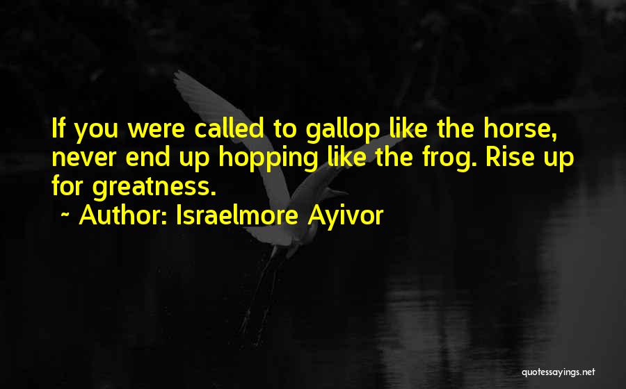 Israelmore Ayivor Quotes: If You Were Called To Gallop Like The Horse, Never End Up Hopping Like The Frog. Rise Up For Greatness.