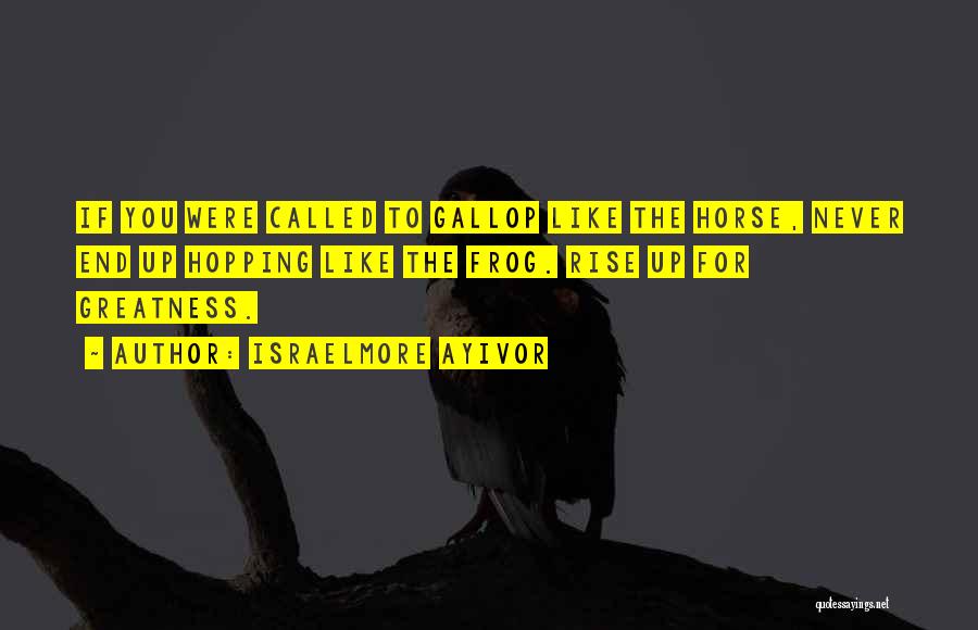 Israelmore Ayivor Quotes: If You Were Called To Gallop Like The Horse, Never End Up Hopping Like The Frog. Rise Up For Greatness.