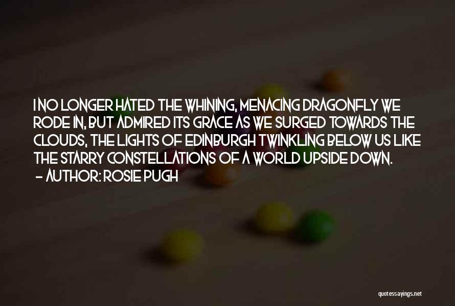 Rosie Pugh Quotes: I No Longer Hated The Whining, Menacing Dragonfly We Rode In, But Admired Its Grace As We Surged Towards The