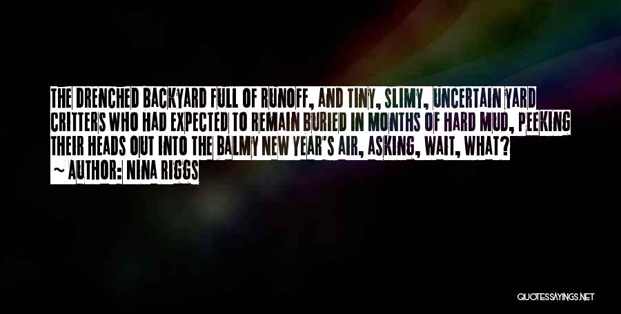 Nina Riggs Quotes: The Drenched Backyard Full Of Runoff, And Tiny, Slimy, Uncertain Yard Critters Who Had Expected To Remain Buried In Months