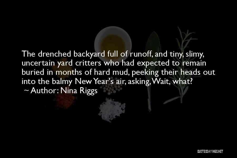 Nina Riggs Quotes: The Drenched Backyard Full Of Runoff, And Tiny, Slimy, Uncertain Yard Critters Who Had Expected To Remain Buried In Months