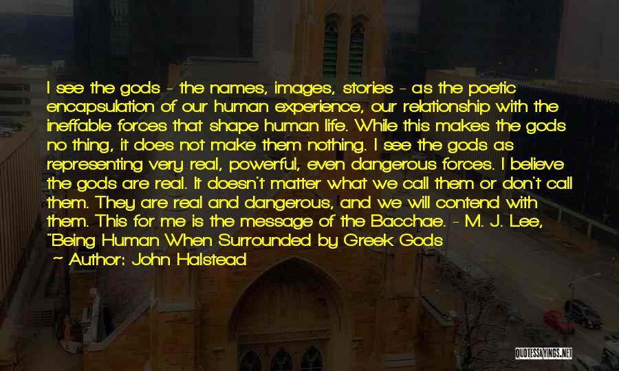 John Halstead Quotes: I See The Gods - The Names, Images, Stories - As The Poetic Encapsulation Of Our Human Experience, Our Relationship