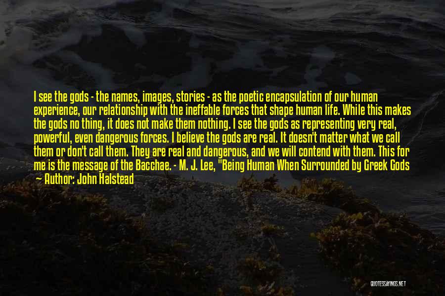 John Halstead Quotes: I See The Gods - The Names, Images, Stories - As The Poetic Encapsulation Of Our Human Experience, Our Relationship