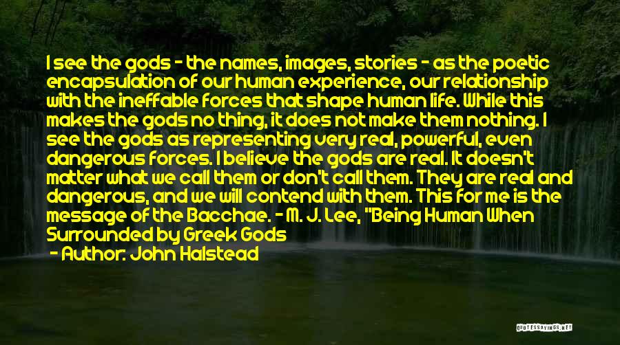 John Halstead Quotes: I See The Gods - The Names, Images, Stories - As The Poetic Encapsulation Of Our Human Experience, Our Relationship