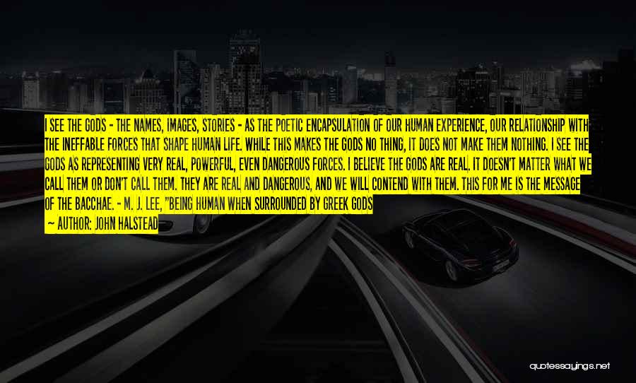 John Halstead Quotes: I See The Gods - The Names, Images, Stories - As The Poetic Encapsulation Of Our Human Experience, Our Relationship