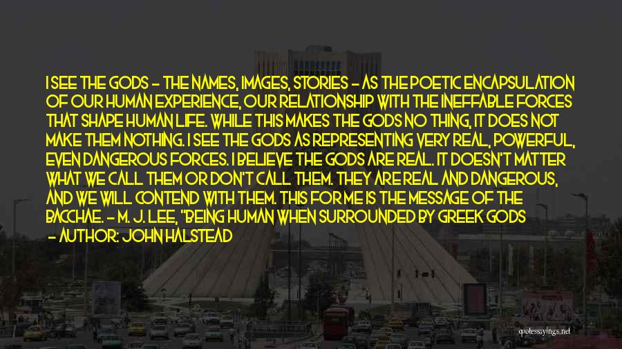 John Halstead Quotes: I See The Gods - The Names, Images, Stories - As The Poetic Encapsulation Of Our Human Experience, Our Relationship