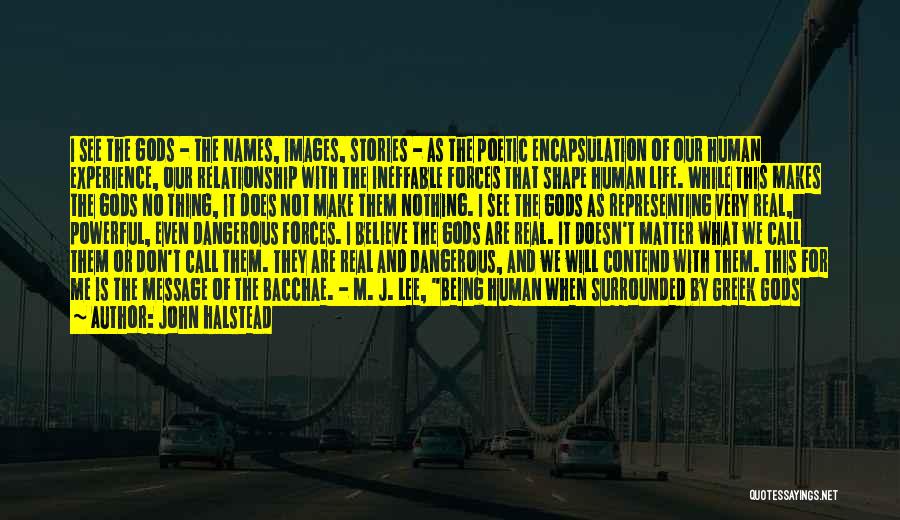 John Halstead Quotes: I See The Gods - The Names, Images, Stories - As The Poetic Encapsulation Of Our Human Experience, Our Relationship