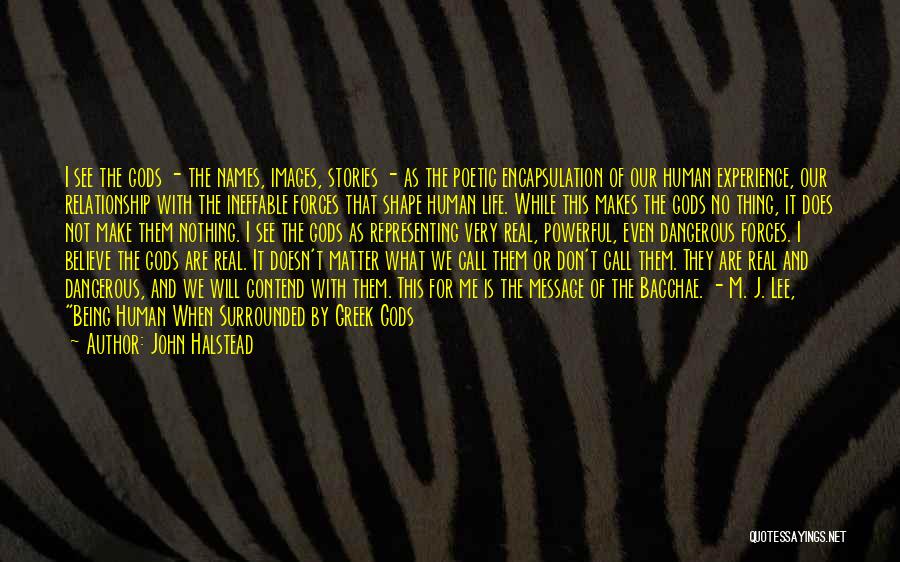 John Halstead Quotes: I See The Gods - The Names, Images, Stories - As The Poetic Encapsulation Of Our Human Experience, Our Relationship