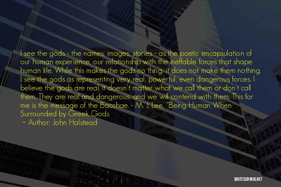 John Halstead Quotes: I See The Gods - The Names, Images, Stories - As The Poetic Encapsulation Of Our Human Experience, Our Relationship