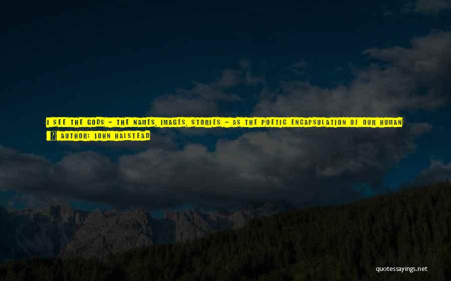John Halstead Quotes: I See The Gods - The Names, Images, Stories - As The Poetic Encapsulation Of Our Human Experience, Our Relationship