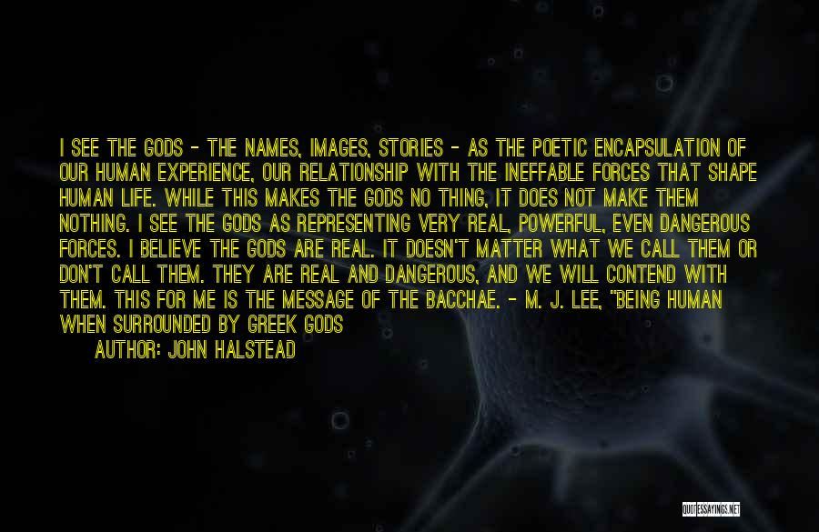 John Halstead Quotes: I See The Gods - The Names, Images, Stories - As The Poetic Encapsulation Of Our Human Experience, Our Relationship