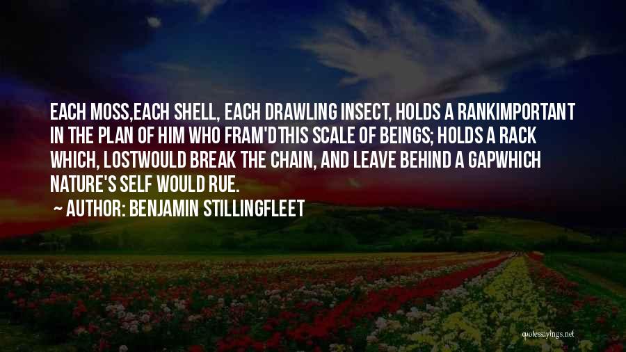Benjamin Stillingfleet Quotes: Each Moss,each Shell, Each Drawling Insect, Holds A Rankimportant In The Plan Of Him Who Fram'dthis Scale Of Beings; Holds