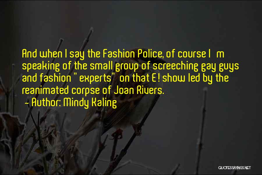 Mindy Kaling Quotes: And When I Say The Fashion Police, Of Course I'm Speaking Of The Small Group Of Screeching Gay Guys And
