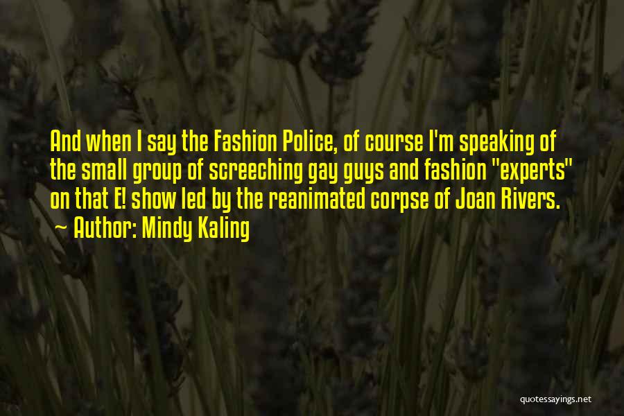 Mindy Kaling Quotes: And When I Say The Fashion Police, Of Course I'm Speaking Of The Small Group Of Screeching Gay Guys And
