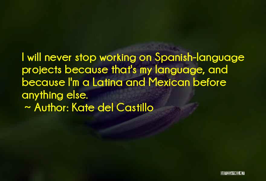 Kate Del Castillo Quotes: I Will Never Stop Working On Spanish-language Projects Because That's My Language, And Because I'm A Latina And Mexican Before