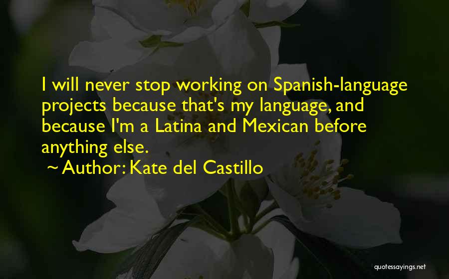 Kate Del Castillo Quotes: I Will Never Stop Working On Spanish-language Projects Because That's My Language, And Because I'm A Latina And Mexican Before