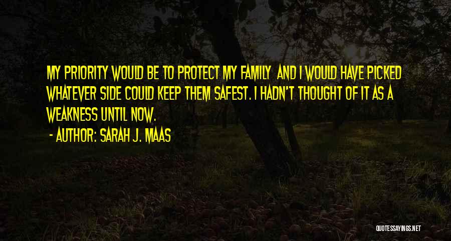 Sarah J. Maas Quotes: My Priority Would Be To Protect My Family And I Would Have Picked Whatever Side Could Keep Them Safest. I