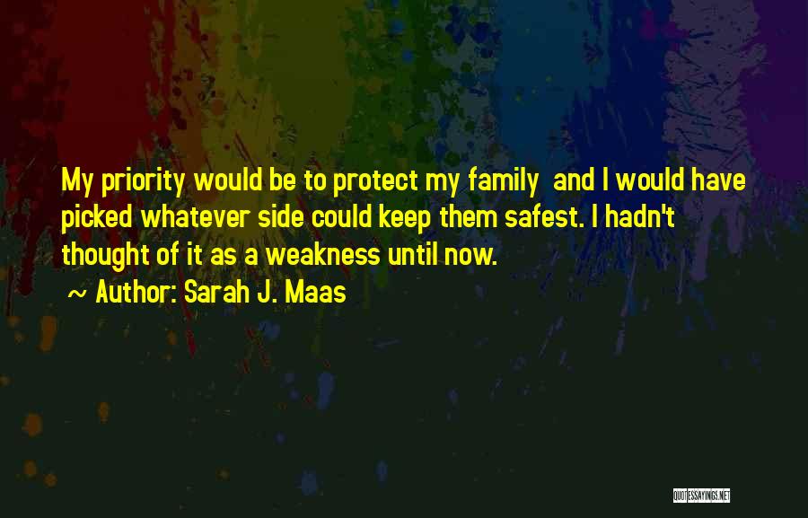 Sarah J. Maas Quotes: My Priority Would Be To Protect My Family And I Would Have Picked Whatever Side Could Keep Them Safest. I