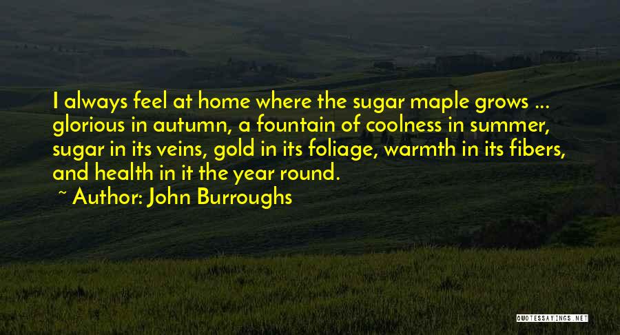 John Burroughs Quotes: I Always Feel At Home Where The Sugar Maple Grows ... Glorious In Autumn, A Fountain Of Coolness In Summer,