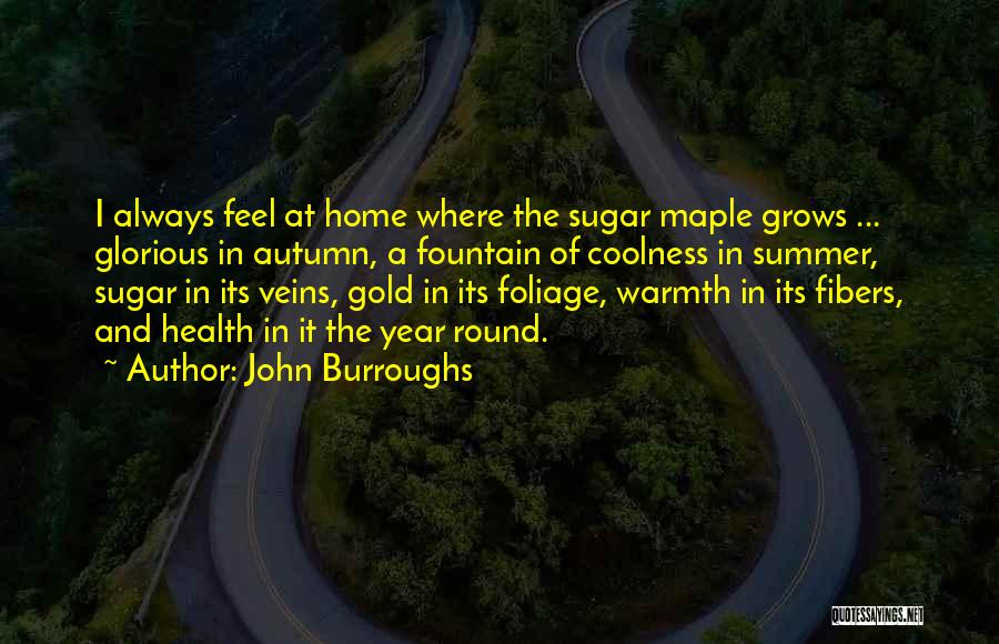 John Burroughs Quotes: I Always Feel At Home Where The Sugar Maple Grows ... Glorious In Autumn, A Fountain Of Coolness In Summer,