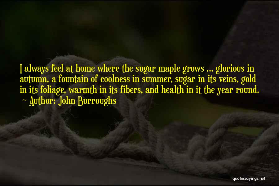 John Burroughs Quotes: I Always Feel At Home Where The Sugar Maple Grows ... Glorious In Autumn, A Fountain Of Coolness In Summer,