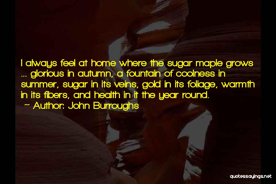 John Burroughs Quotes: I Always Feel At Home Where The Sugar Maple Grows ... Glorious In Autumn, A Fountain Of Coolness In Summer,