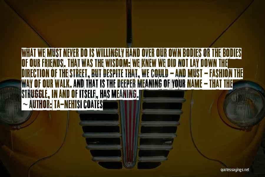 Ta-Nehisi Coates Quotes: What We Must Never Do Is Willingly Hand Over Our Own Bodies Or The Bodies Of Our Friends. That Was