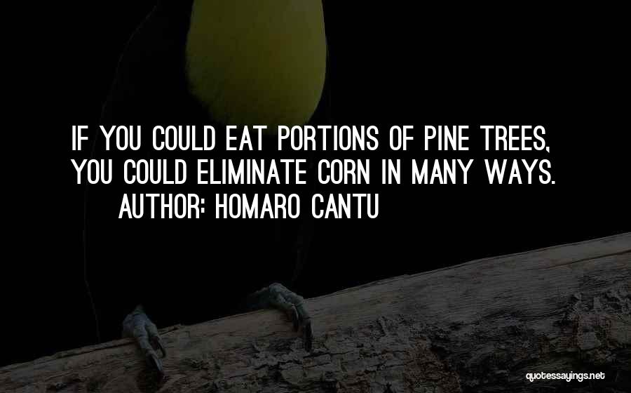 Homaro Cantu Quotes: If You Could Eat Portions Of Pine Trees, You Could Eliminate Corn In Many Ways.