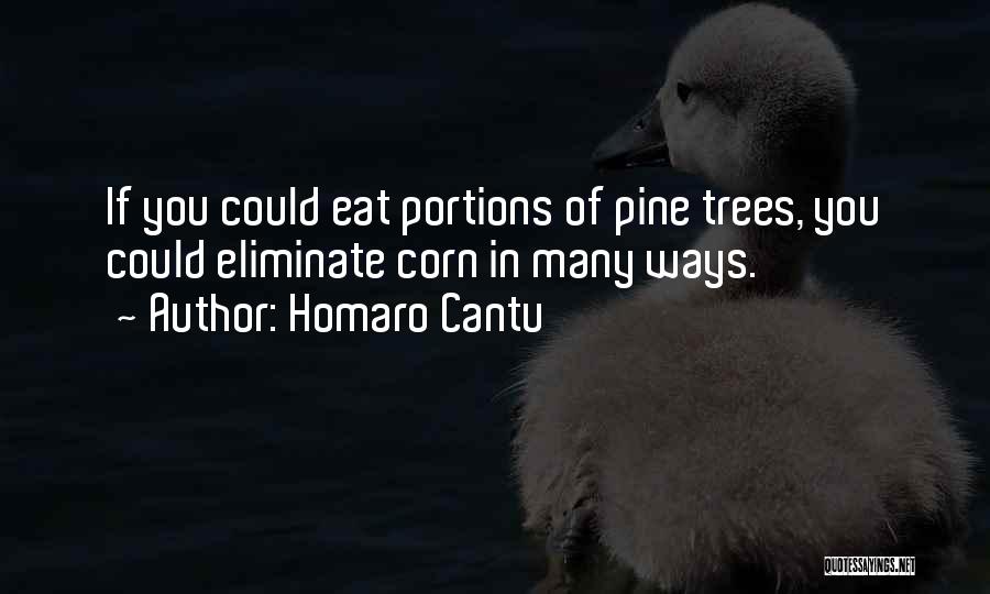 Homaro Cantu Quotes: If You Could Eat Portions Of Pine Trees, You Could Eliminate Corn In Many Ways.