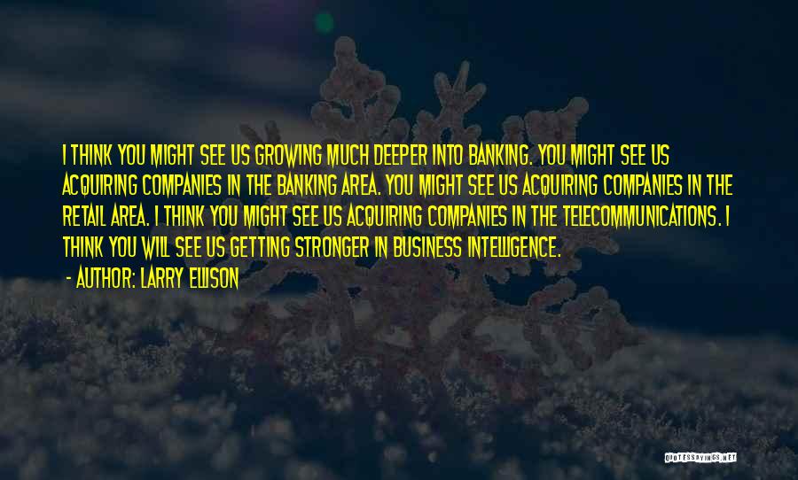 Larry Ellison Quotes: I Think You Might See Us Growing Much Deeper Into Banking. You Might See Us Acquiring Companies In The Banking