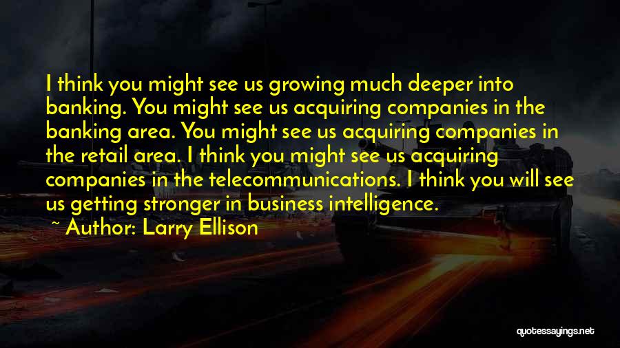 Larry Ellison Quotes: I Think You Might See Us Growing Much Deeper Into Banking. You Might See Us Acquiring Companies In The Banking