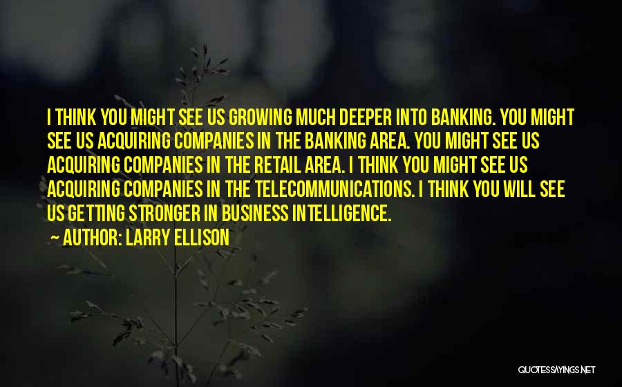 Larry Ellison Quotes: I Think You Might See Us Growing Much Deeper Into Banking. You Might See Us Acquiring Companies In The Banking