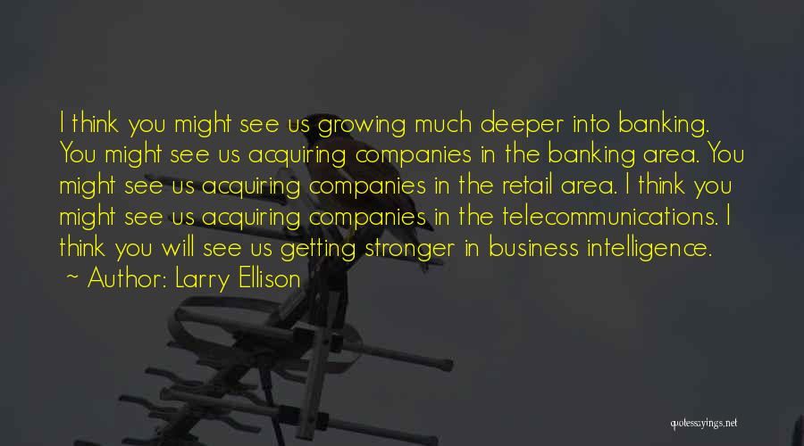 Larry Ellison Quotes: I Think You Might See Us Growing Much Deeper Into Banking. You Might See Us Acquiring Companies In The Banking