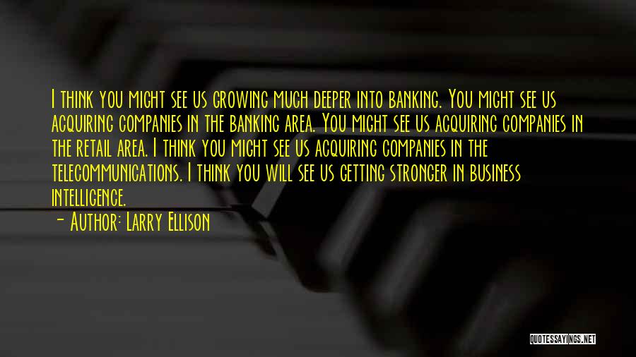 Larry Ellison Quotes: I Think You Might See Us Growing Much Deeper Into Banking. You Might See Us Acquiring Companies In The Banking