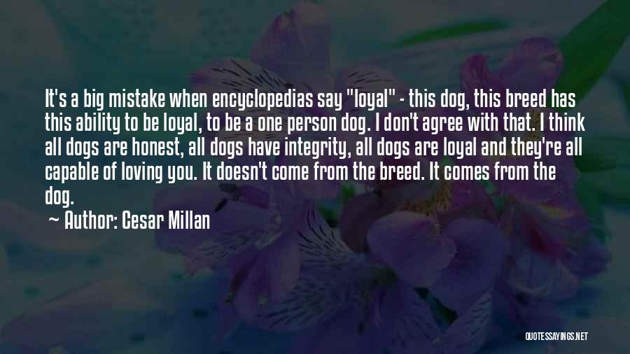 Cesar Millan Quotes: It's A Big Mistake When Encyclopedias Say Loyal - This Dog, This Breed Has This Ability To Be Loyal, To