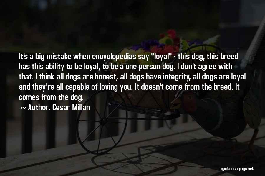 Cesar Millan Quotes: It's A Big Mistake When Encyclopedias Say Loyal - This Dog, This Breed Has This Ability To Be Loyal, To