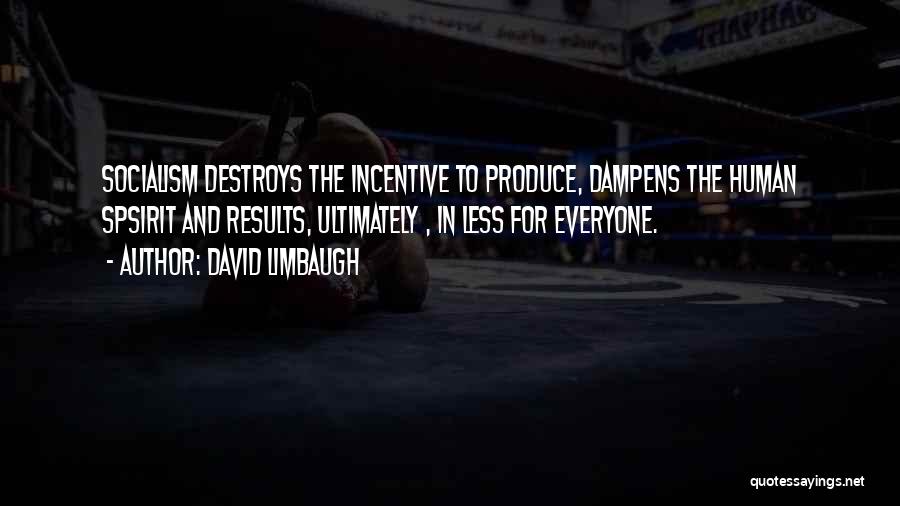 David Limbaugh Quotes: Socialism Destroys The Incentive To Produce, Dampens The Human Spsirit And Results, Ultimately , In Less For Everyone.