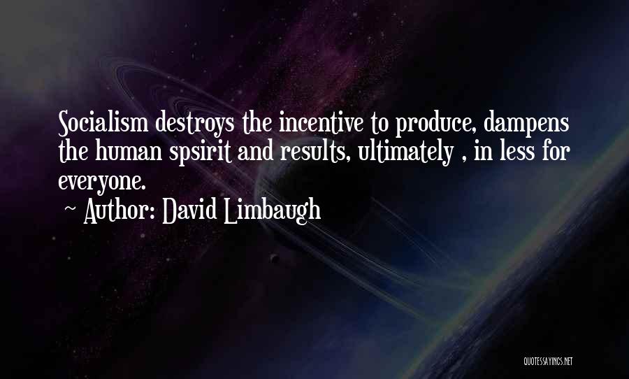 David Limbaugh Quotes: Socialism Destroys The Incentive To Produce, Dampens The Human Spsirit And Results, Ultimately , In Less For Everyone.