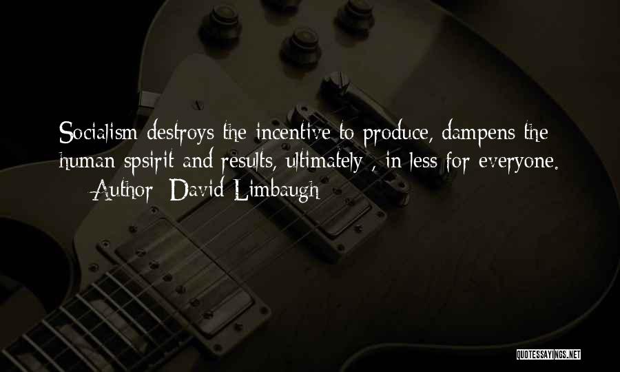 David Limbaugh Quotes: Socialism Destroys The Incentive To Produce, Dampens The Human Spsirit And Results, Ultimately , In Less For Everyone.