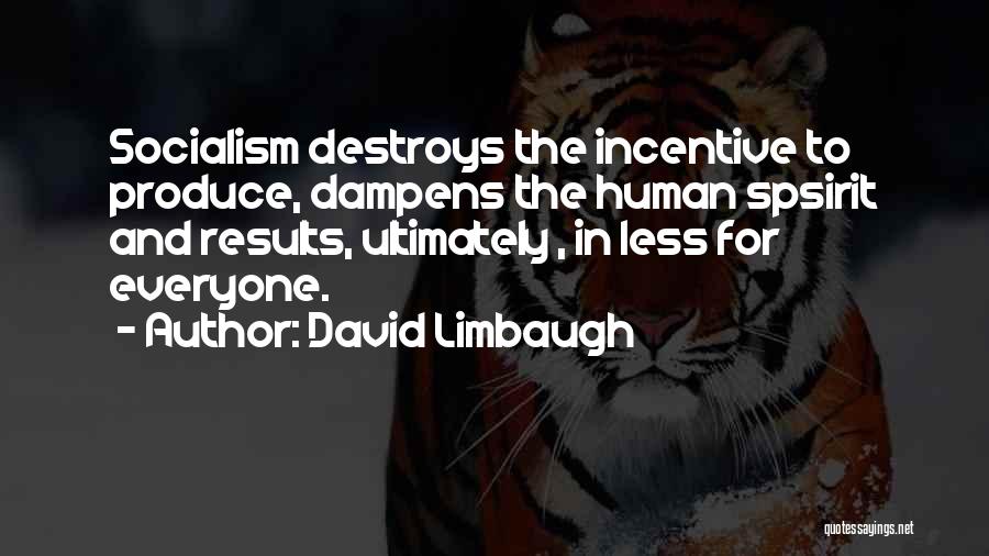 David Limbaugh Quotes: Socialism Destroys The Incentive To Produce, Dampens The Human Spsirit And Results, Ultimately , In Less For Everyone.
