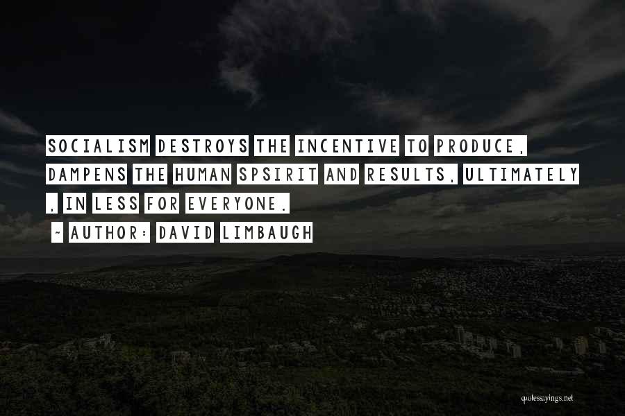 David Limbaugh Quotes: Socialism Destroys The Incentive To Produce, Dampens The Human Spsirit And Results, Ultimately , In Less For Everyone.