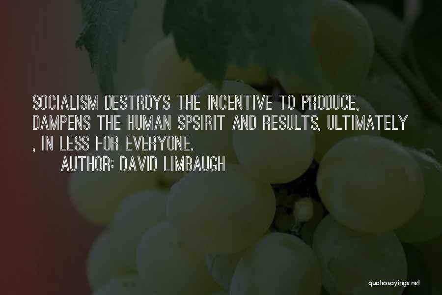 David Limbaugh Quotes: Socialism Destroys The Incentive To Produce, Dampens The Human Spsirit And Results, Ultimately , In Less For Everyone.
