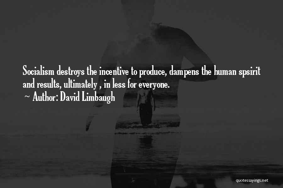David Limbaugh Quotes: Socialism Destroys The Incentive To Produce, Dampens The Human Spsirit And Results, Ultimately , In Less For Everyone.