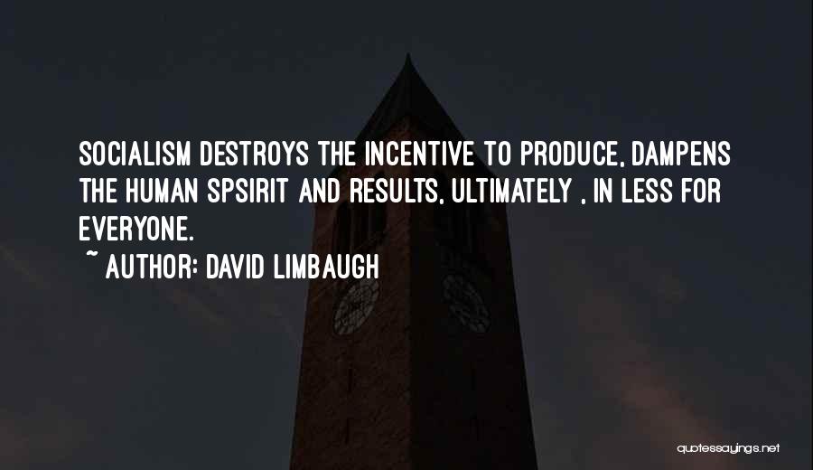 David Limbaugh Quotes: Socialism Destroys The Incentive To Produce, Dampens The Human Spsirit And Results, Ultimately , In Less For Everyone.