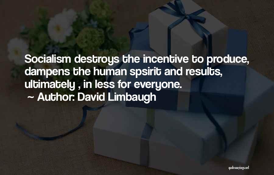 David Limbaugh Quotes: Socialism Destroys The Incentive To Produce, Dampens The Human Spsirit And Results, Ultimately , In Less For Everyone.