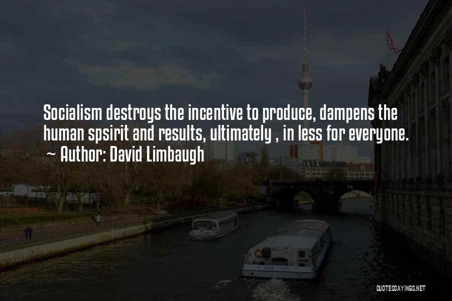 David Limbaugh Quotes: Socialism Destroys The Incentive To Produce, Dampens The Human Spsirit And Results, Ultimately , In Less For Everyone.