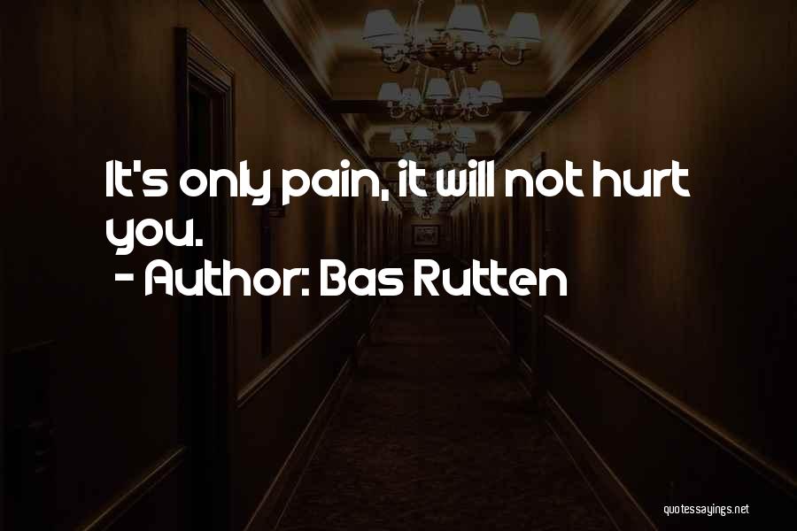 Bas Rutten Quotes: It's Only Pain, It Will Not Hurt You.