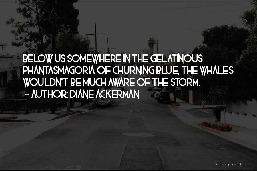 Diane Ackerman Quotes: Below Us Somewhere In The Gelatinous Phantasmagoria Of Churning Blue, The Whales Wouldn't Be Much Aware Of The Storm.