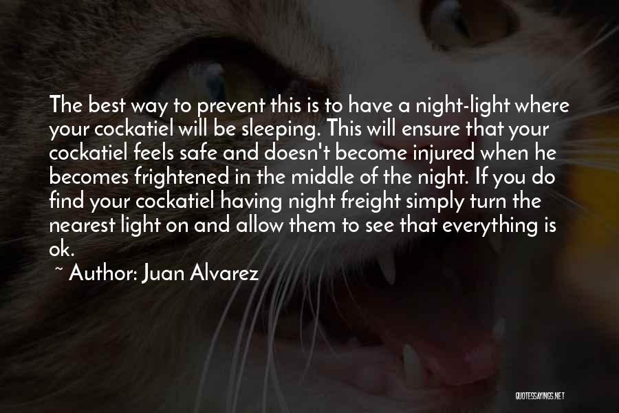 Juan Alvarez Quotes: The Best Way To Prevent This Is To Have A Night-light Where Your Cockatiel Will Be Sleeping. This Will Ensure