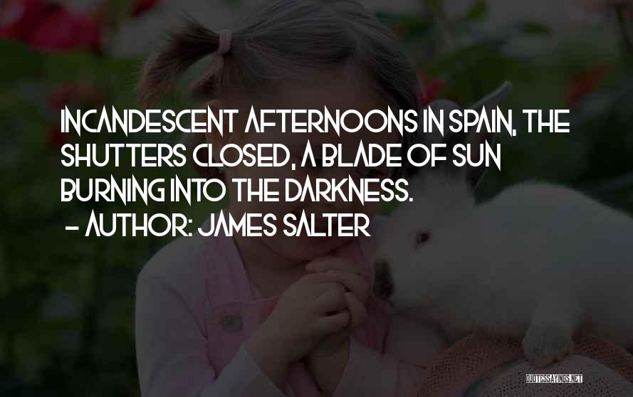 James Salter Quotes: Incandescent Afternoons In Spain, The Shutters Closed, A Blade Of Sun Burning Into The Darkness.
